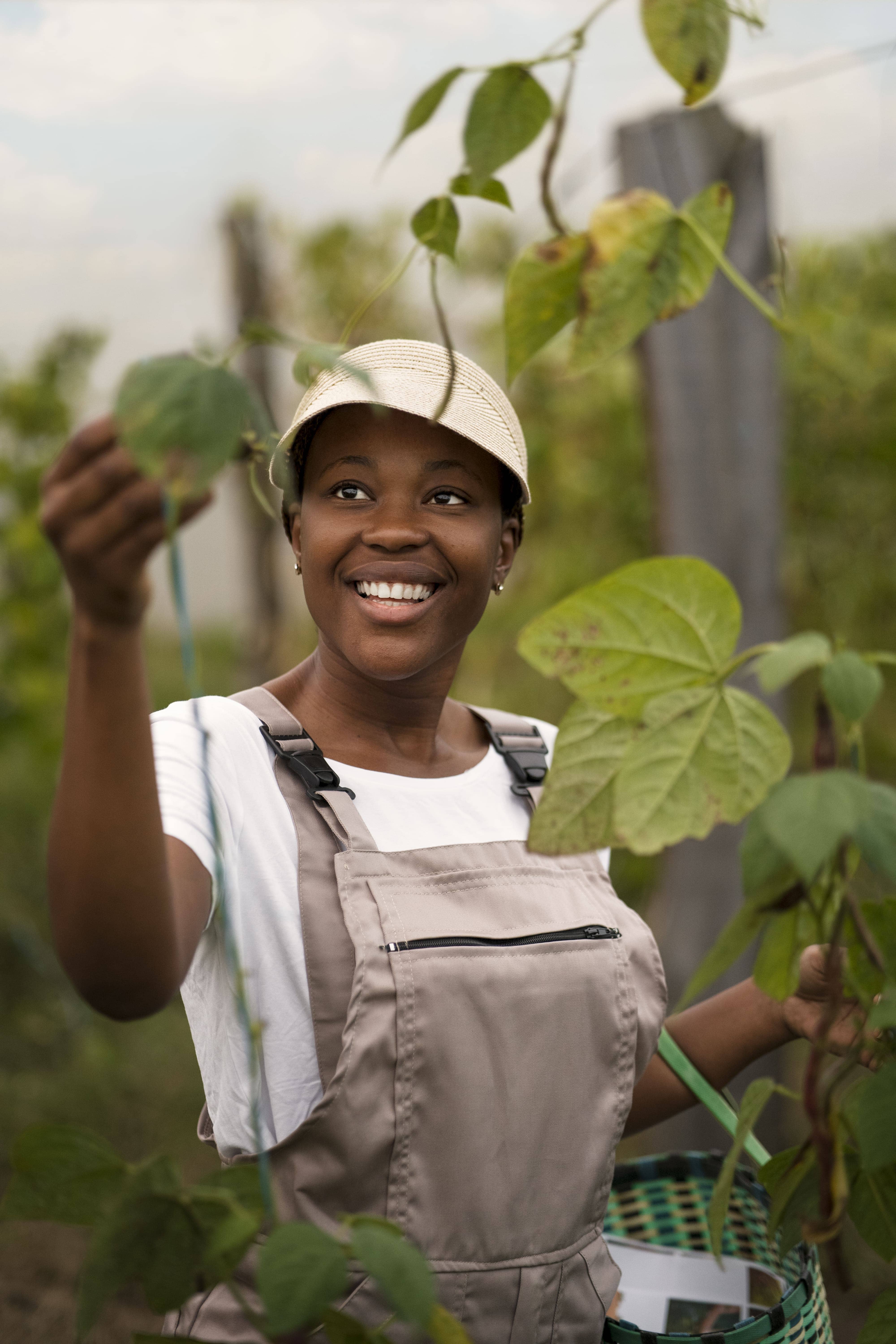 Illustration Contact